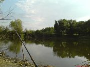 DSC00262.JPG