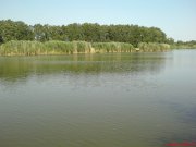 DSC00267.JPG
