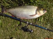 DSC00268.JPG