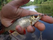 DSC02442.JPG