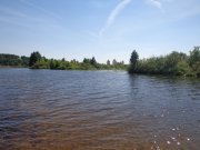DSC02444.JPG