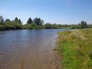 DSC02445.JPG