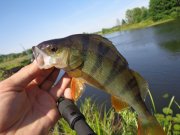 DSC02446.JPG