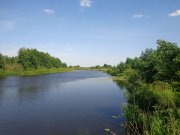 DSC02448.JPG