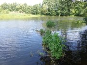 DSC02451.JPG