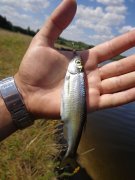 DSC02454.JPG