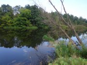 DSC02461.JPG