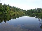 DSC02465.JPG