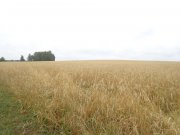 DSC02471.JPG