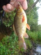 DSC02477.JPG