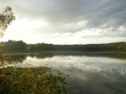 DSC02488.JPG