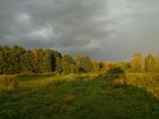 DSC02493.JPG