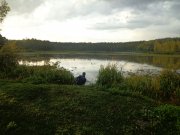 DSC02494.JPG