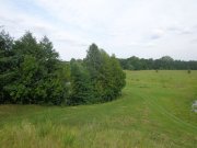 DSC02504.JPG