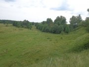 DSC02505.JPG