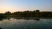 WP_20140802_001.jpg