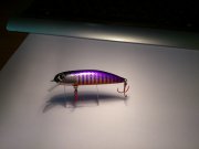 DSC_0013.jpg