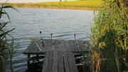 IMG_2279.jpg