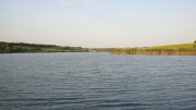 IMG_2280.jpg