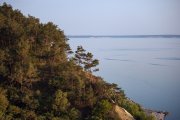 IMG_8483_resize.jpg