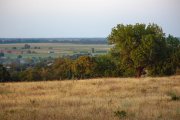 IMG_8589_resize.jpg