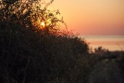 IMG_8649_resize.jpg