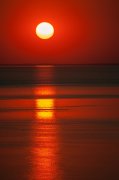 IMG_8666_resize.jpg