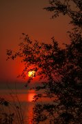 IMG_8675_resize.jpg