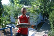DSC_7312.jpg