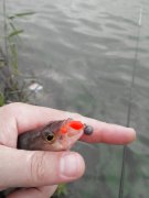 2014727085647.jpg