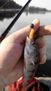 20140803073402.jpg