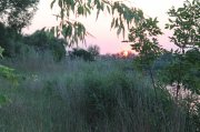 IMG_4235.JPG