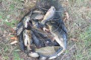 IMG_4276.JPG