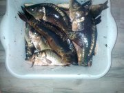IMG_20140809_130033.jpg