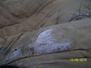 100_6720_thumb.jpg
