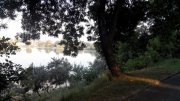 20140810072505.jpg