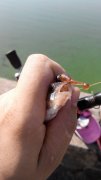 20140810095113.jpg