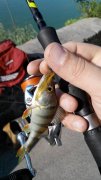 20140810091616.jpg