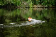 DSC_0030-2.jpg