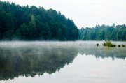 DSC_0037-5.jpg