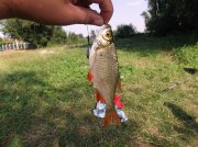 DSCF6737.JPG
