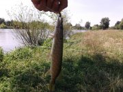 DSCF6741.JPG