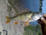 IMG_20140814_100521.jpg