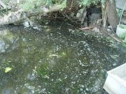 IMG_335159567827361.jpeg