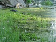 IMG_335198502946989.jpeg