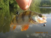 IMG_0068.JPG