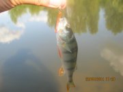 IMG_0069.JPG