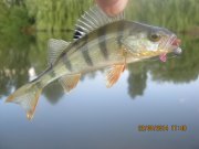 IMG_0070.JPG
