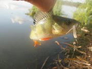 IMG_0071.JPG