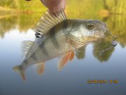 IMG_0076.JPG